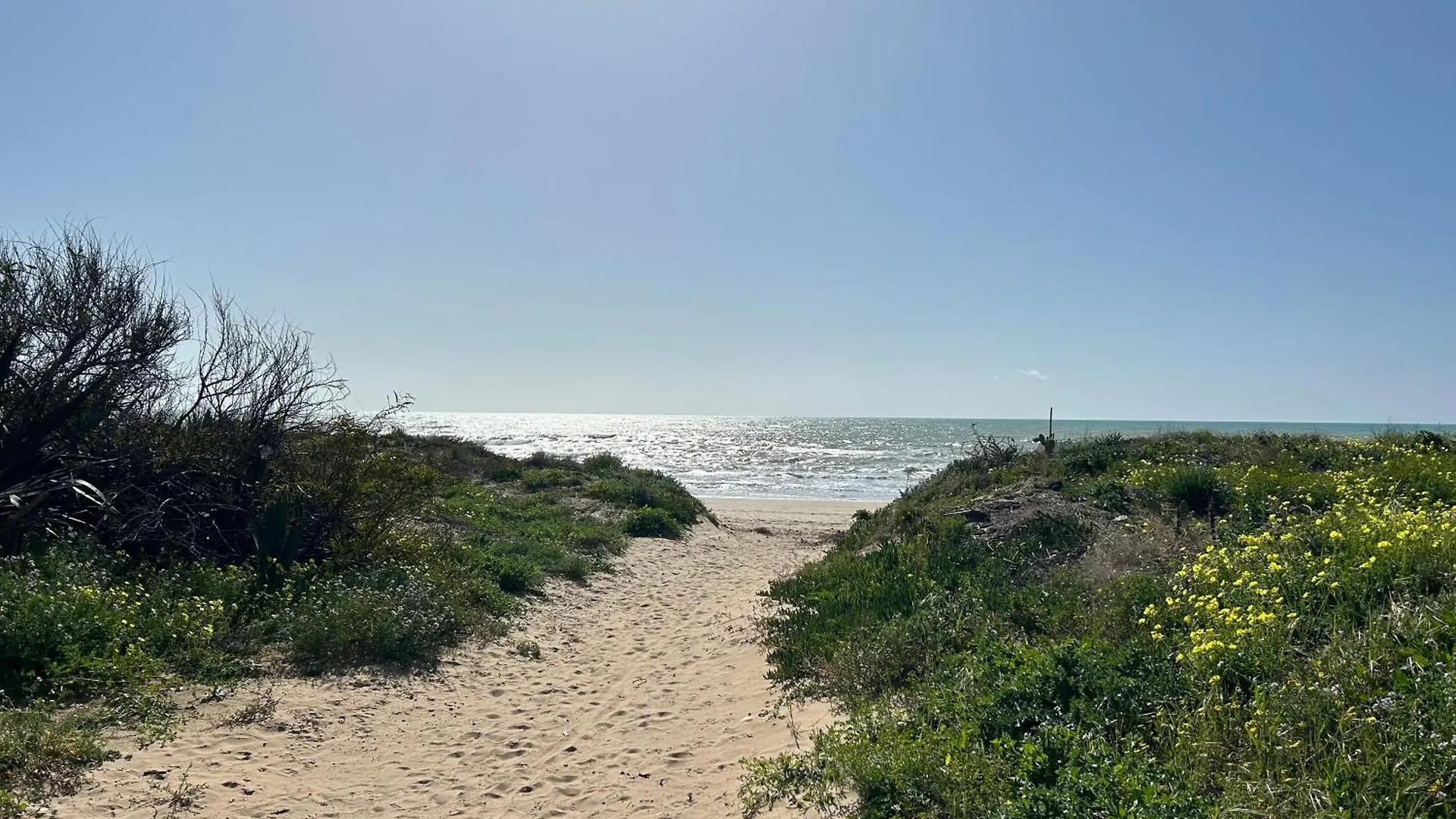 Sea\'S Scent location
